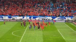 mk体育官网登录